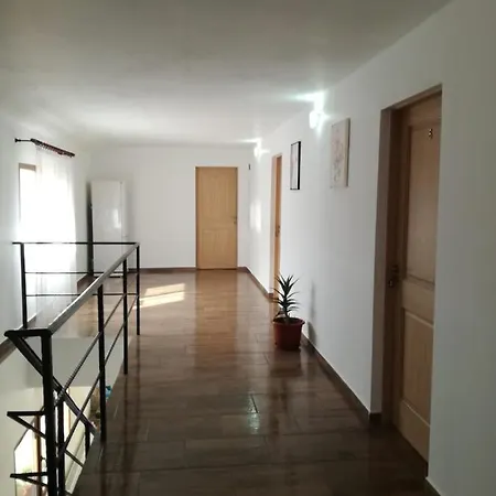 Casa Adelin Maison d'hôtes Ieşelniţa