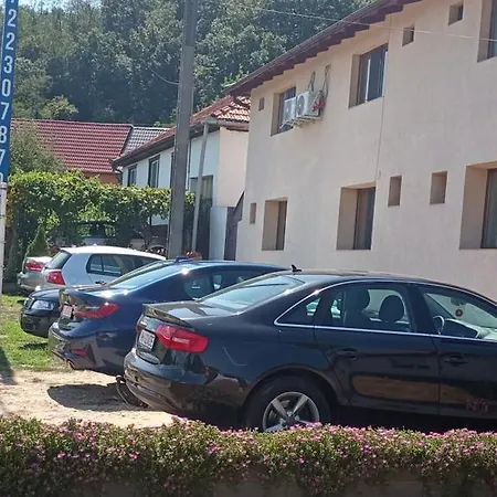 Casa Adelin *