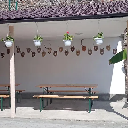 Casa Adelin Maison d'hôtes Ieşelniţa